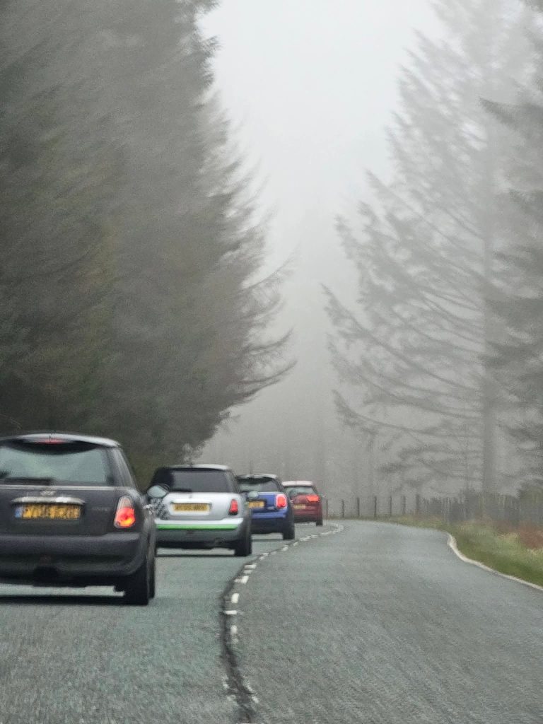 FB_IMG_1773062908132